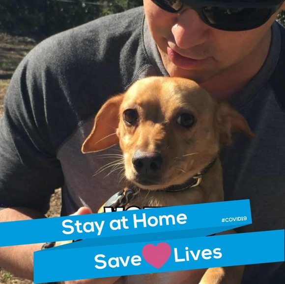 Meet your Posher, Michael - Picture 1 of 1